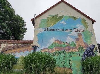 Tour Wandern Montreuil-aux-Lions - Montreuil aux Lions ADR du 17/07/2021 - Photo