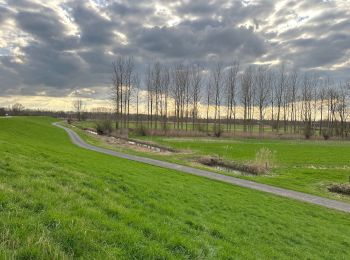 Tocht Stappen Dendermonde - Dendermonde Moerzeke 19,5 km - Photo