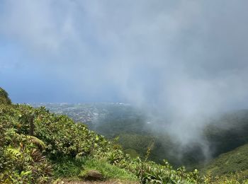 Trail Walking Saint-Claude - Bains jaune - Photo