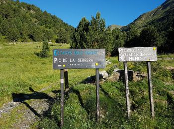 Trail Walking  - pic de serrera_07-2017 - Photo