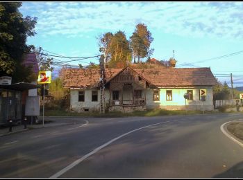 Trail On foot  - RO-blue triangle - Photo