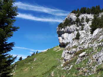 Trail Walking Saint-Pierre-d'Entremont - chartreuse varvats fouda blanc pinet - Photo