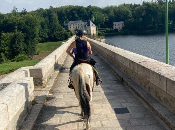 Tocht Paardrijden Montsauche-les-Settons - Lac settons 2ème jour - Photo