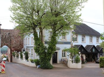 Percorso A piedi Freudenburg - König-Johann-Runde - Photo