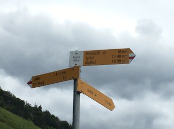 Percorso A piedi Einsiedeln - Ruestel - Chrähwäldli - Photo