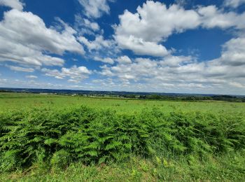 Tocht Mountainbike Lucgarier - Lucgarier RShoun de moussu reconnu  - Photo