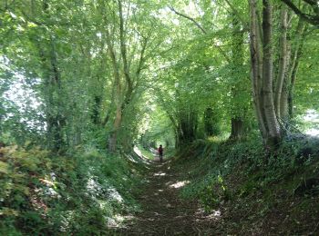 Tour Wandern Saint-Vincent-du-Boulay - st Vincent de boulay - Photo