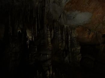 Excursión A pie Aggtelek - Zöldhatár tanösvény (Aggtelek-Domica) (szlovák oldal) - Photo