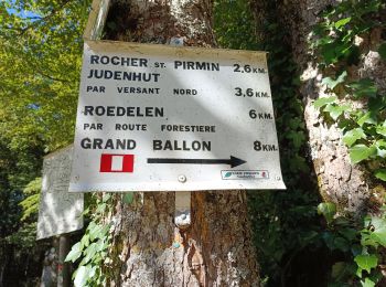 Trail Walking Rimbach-près-Guebwiller - Rimbach - Glashutte (10/08/2023) - Photo