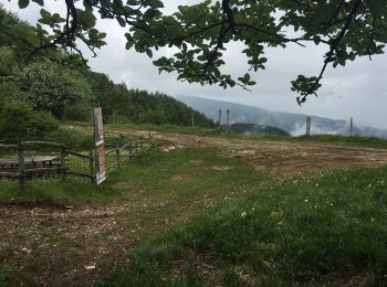 Percorso A piedi Fabbrica Curone - Lunassi – Colle della Seppa - Photo