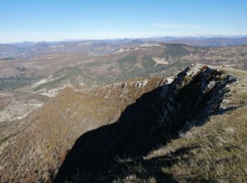 Tour Wandern La Roche-sur-le-Buis - la montagne de Banne  - Photo