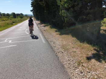 Trail Road bike Malaucène - le Ventoux  - Photo