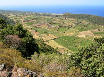 Randonnée A pied Pantelleria - Zighidi - Montagna Grande - Monte Gibéle - Photo