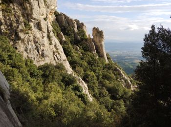 Randonnée Marche Puyloubier - Pic des Mouches  - Photo