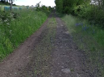 Tocht Stappen Solignat - PUY D'YSSON - Photo