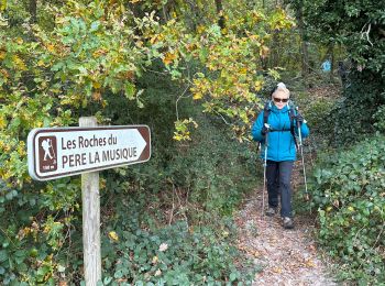 Excursión sport Ballancourt-sur-Essonne - BM Ballancourt 15km - Photo