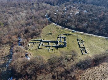 Randonnée A pied Esztergom - Z+ (Égett-hárs - Hoffmann-vadászház - Szakó-nyereg - Jász-hegy) - Photo