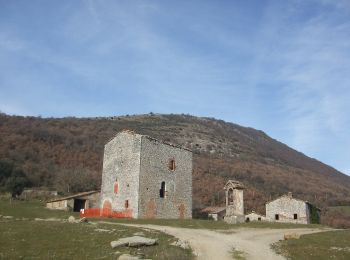 Tocht Te voet Umbertide - Traversata di Monte Acuto - Photo