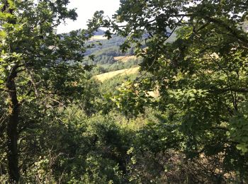 Randonnée Randonnée équestre Couzon-au-Mont-d'Or - 15 km croix rampau Curis-au-Mont-d’Or  - Photo