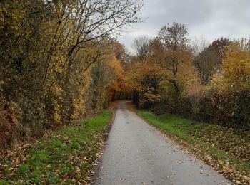 Trail Walking La Vespière-Friardel - orbec vispière - Photo