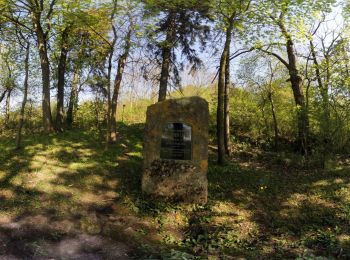 Percorso A piedi Leinefelde-Worbis - Duderstadt-Worbis-Duderstadt - Photo