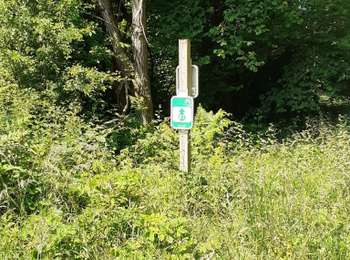 Percorso Marcia Mettet - Pontaury Bambois - Photo