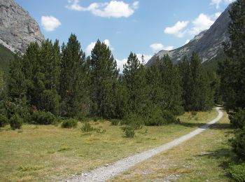 Randonnée A pied Val Müstair - Val Mora - Grenze (- San Giacomo di Fraele) - Photo