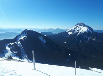 Tour Schneeschuhwandern Plateau-des-Petites-Roches - Pravouta en circuit partiel - Photo