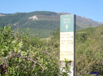 Trail Walking Die - Ausson - Montagne de Gavet (Diois) - Photo