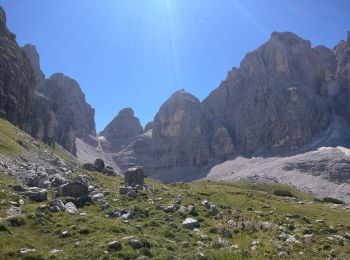 Tour Zu Fuß San Lorenzo Dorsino - Via ferrata alpinistica 