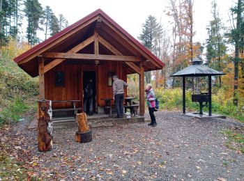 Tour Wandern Rammersmatt - Hundsrück (04/11/2021) - Photo