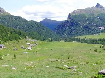 Randonnée A pied Varzo - F50 Alpe Veglia Rif. CAI Città di Arona - Ciamporino - Photo