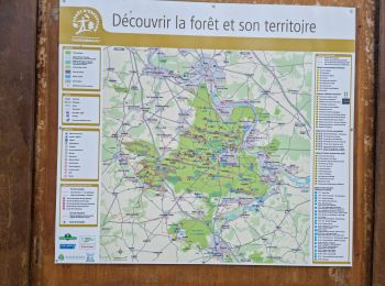 Tour Wandern Noisy-sur-École - Noisy-sur-Ecole - Abris ornés et cavités diverses - Photo