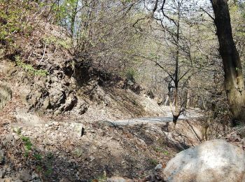 Trail On foot Valle Cannobina - S08 Cavaglio - Monte Giove - Photo