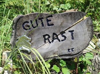 Percorso A piedi Gratwein-Straßengel - Wanderweg 1 - Photo