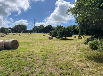 Tour Wandern Guipavas - Boucle du Costour - Photo