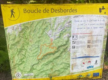 Tocht Trail Petit-Bourg - Tambou - Photo