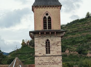 Tour Wandern Rappoltsweiler - balade Ribeauvillé départ chocolaterie  - Photo