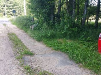 Trail On foot Lachaux - Le Rez de Sol - Photo