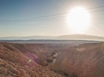 Excursión A pie מועצה אזורית תמר - IL-11449 - Photo