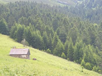 Randonnée Marche Artigue - Artigue par la cabane du plan Bosc et la cabane de Saunères - Photo