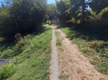 Trail Walking Luquet - Rs gabas luquet2022 - Photo