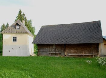 Excursión A pie Deutschlandsberg - Wanderweg 17 - Photo