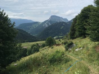 Trail Walking Doucy-en-Bauges - Doucy Mont Trelod  - Photo