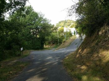 Trail Walking Penne-d'Agenais - La randonnée de Penne d'agenais- Lot et Garonne  - Photo