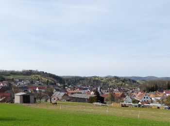 Percorso A piedi Gutsbezirk Kaufunger Wald - Premiumweg P 9 Wacholderpfad - Photo