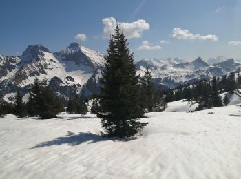 Tour Schneeschuhwandern Glières-Val-de-Borne - rochers de lechaux - Photo