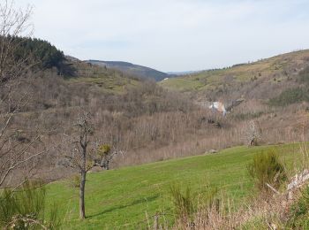 Randonnée Marche La Valla-en-Gier - La Rive Piney Soleyres - Photo