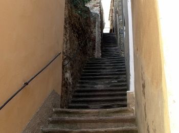 Trail On foot Castagneto Carducci - Antica Via Campigliese - Photo
