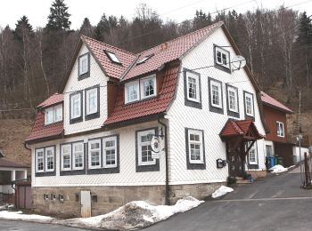 Percorso A piedi Masserberg - Rundwanderweg - Photo